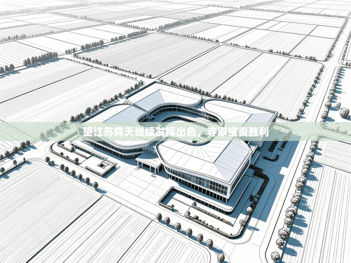 望江苏舜天继续发挥出色，夺取宝贵胜利